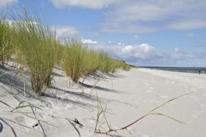 Düne am Strand von Prerow, Darß